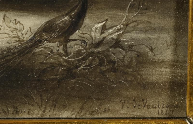1896_333.jpg