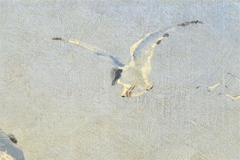 1631_2.jpg