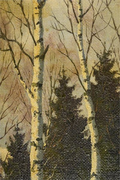 1446_1.jpg
