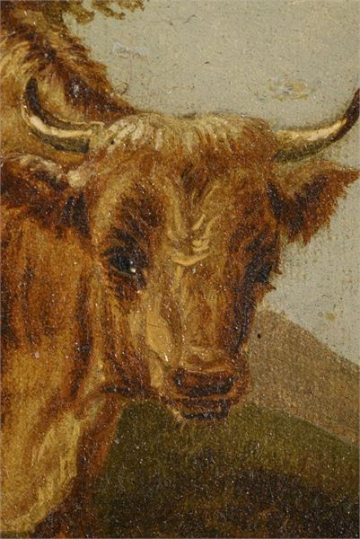 1560_2.jpg