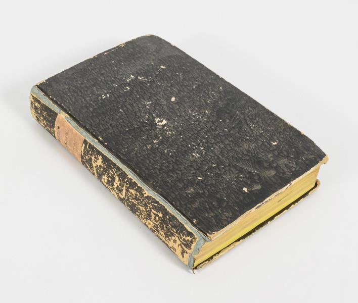1763_1.jpg
