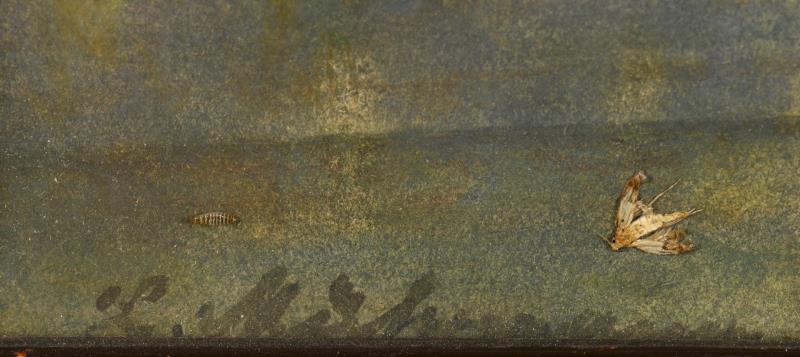 1583_333.jpg