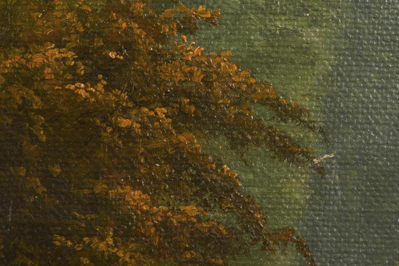 2316_1.jpg