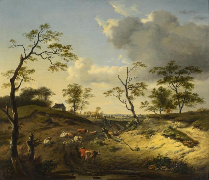 1164.jpg