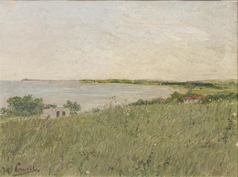 1184.jpg