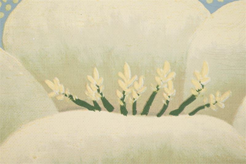 1552_1.jpg
