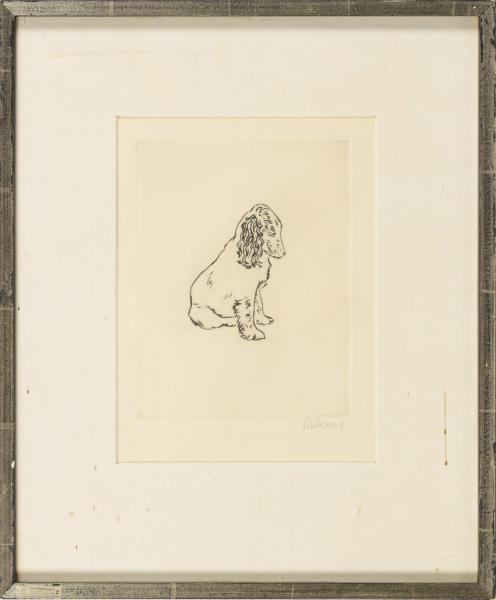 3389-1.jpg