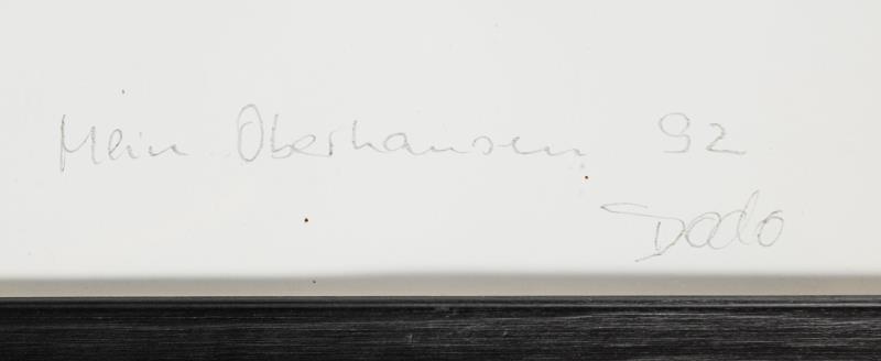 54249_333.jpg