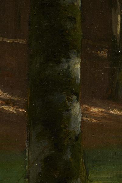 3146_1.jpg