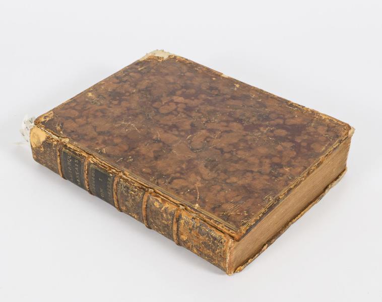 1738_3.jpg
