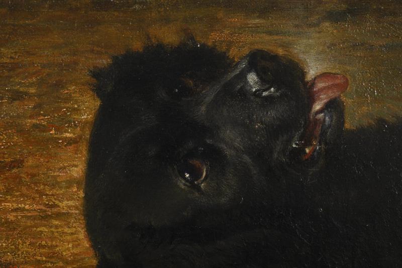 1913_1.jpg