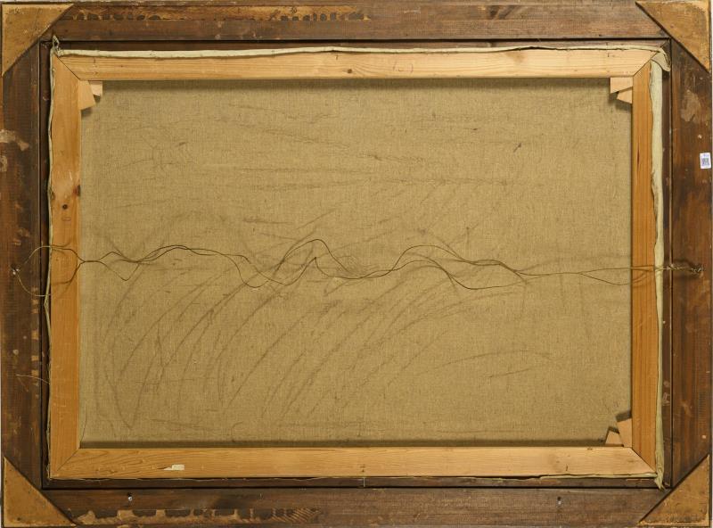 1794_555.jpg