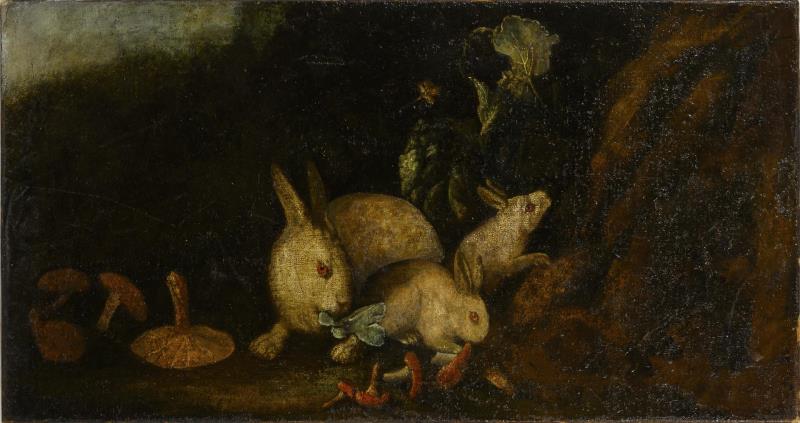 1612.jpg