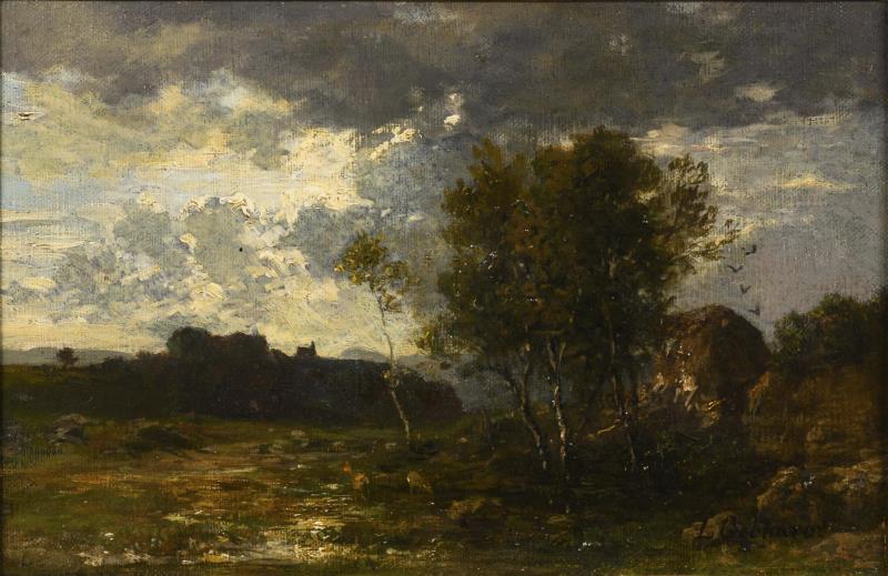 1147.jpg