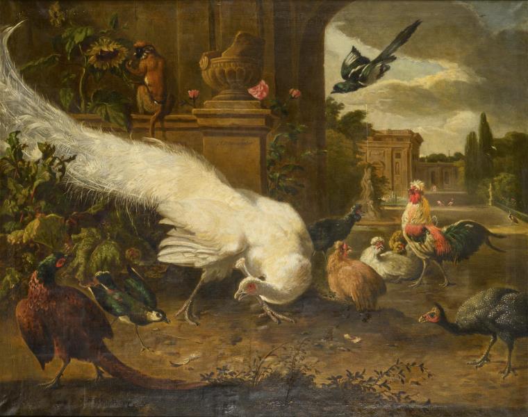 1524.jpg