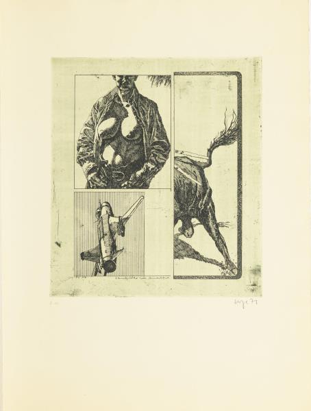 1858_7.jpg