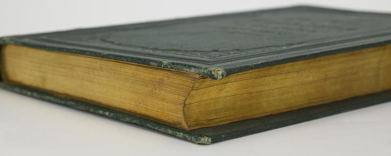 1332_3.jpg