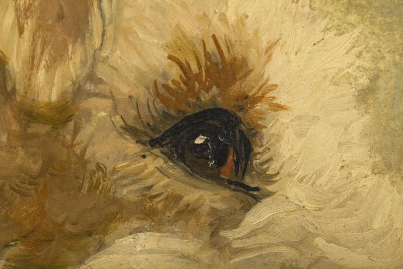 1892_1.jpg