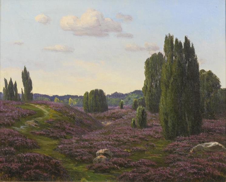 1431.jpg