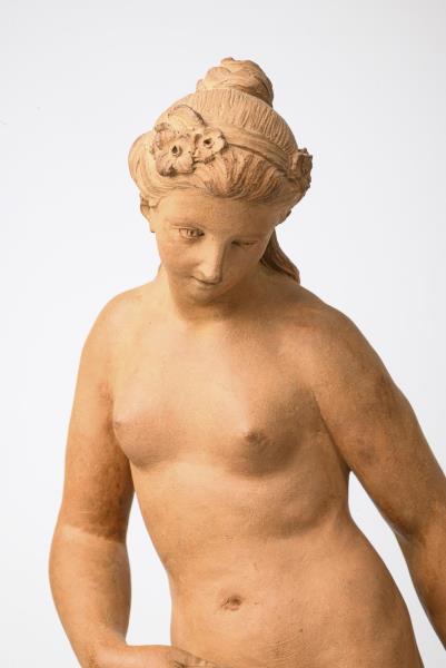 3667_1.jpg