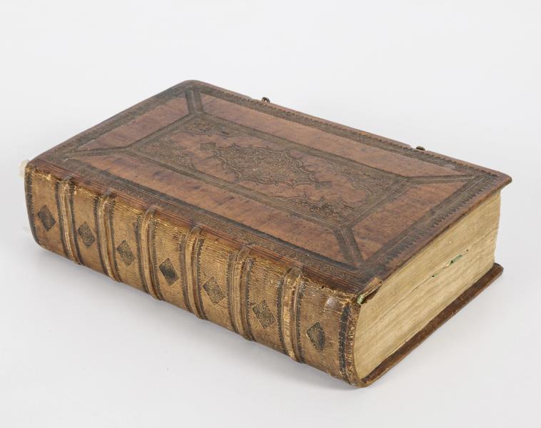 1743_3.jpg