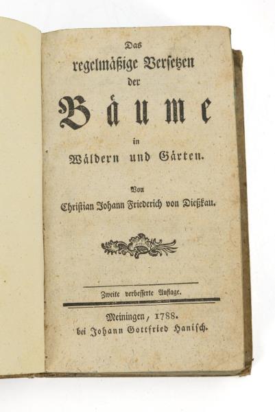 1675.jpg