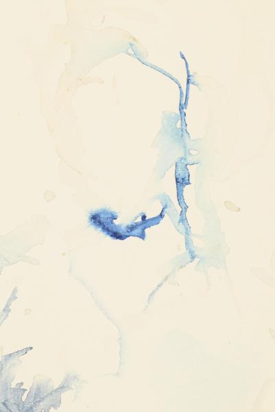 2653_1.jpg