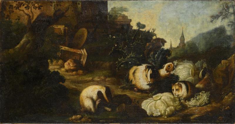 1611.jpg
