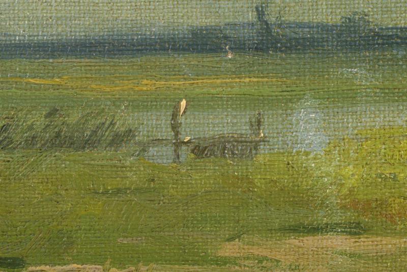 1135_2.jpg