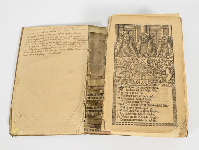 1355.jpg