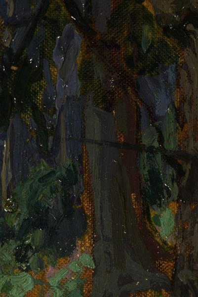 1571_1.jpg