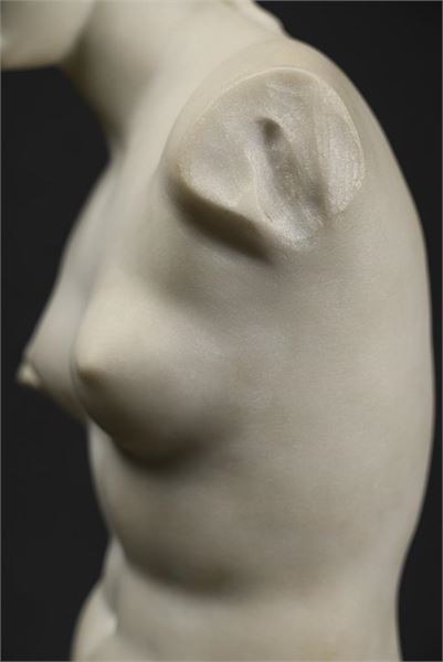 3979_6.jpg