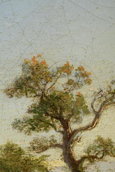 1167_2.jpg