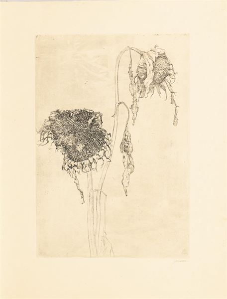 1110.jpg