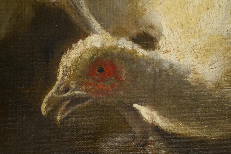 1524_2.jpg