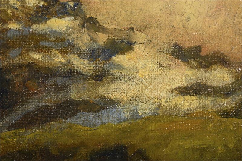 1650_1.jpg