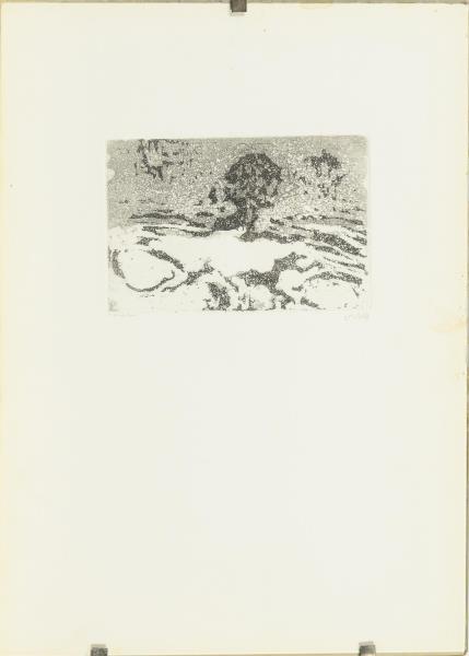 1376.jpg