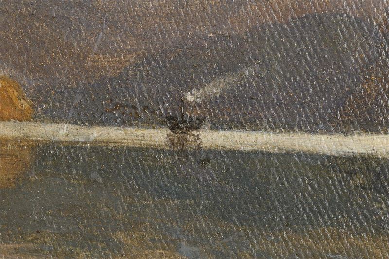 1365_1.jpg