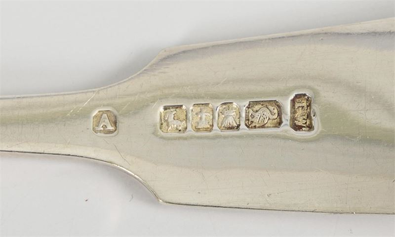 2878_222.jpg