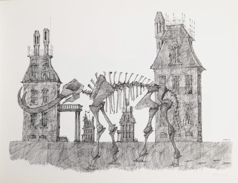 1785_11.jpg