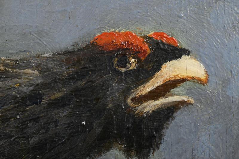 1496_1.jpg