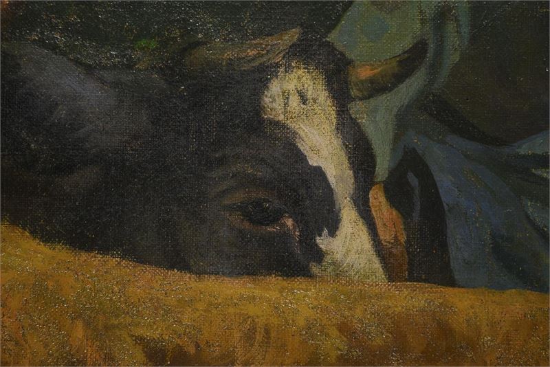 1161_1.jpg