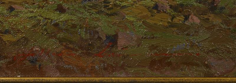 2614_333.jpg