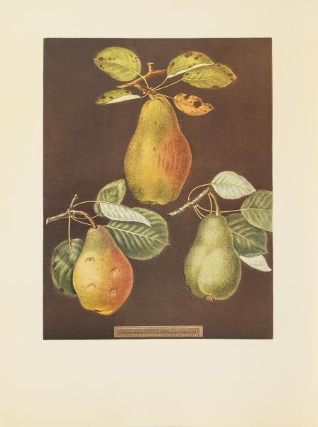 2484_2.jpg