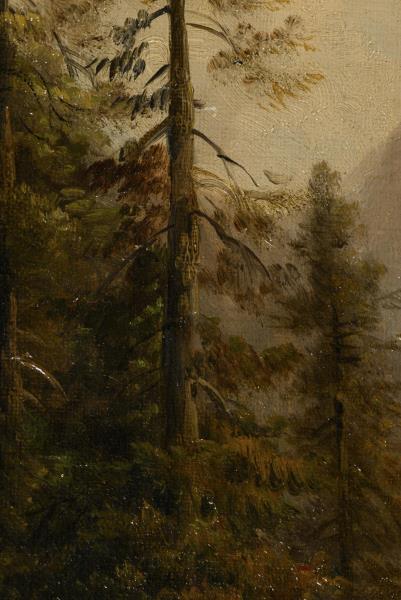 3385_1.jpg