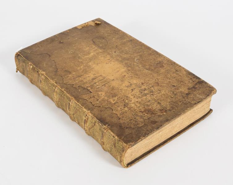 1753_3.jpg