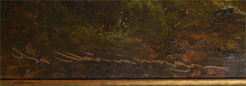 2646_333.jpg
