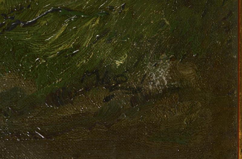 1902_333.jpg