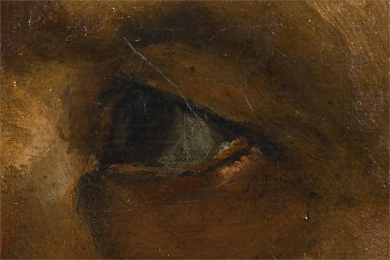 1553_1.jpg
